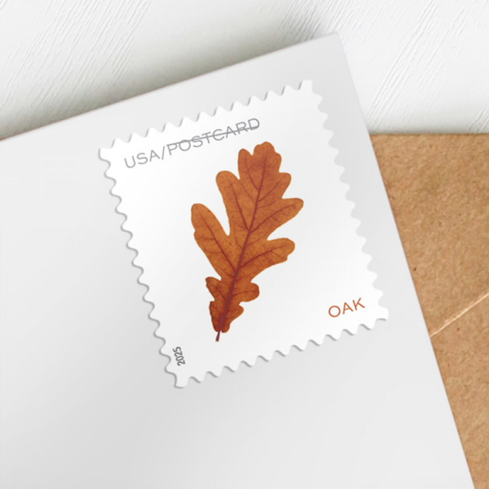 2025 Vibrant Leaves Postcard Stamps, Sheetof 20 Postcard |Multiple Stamp Designs and Formats